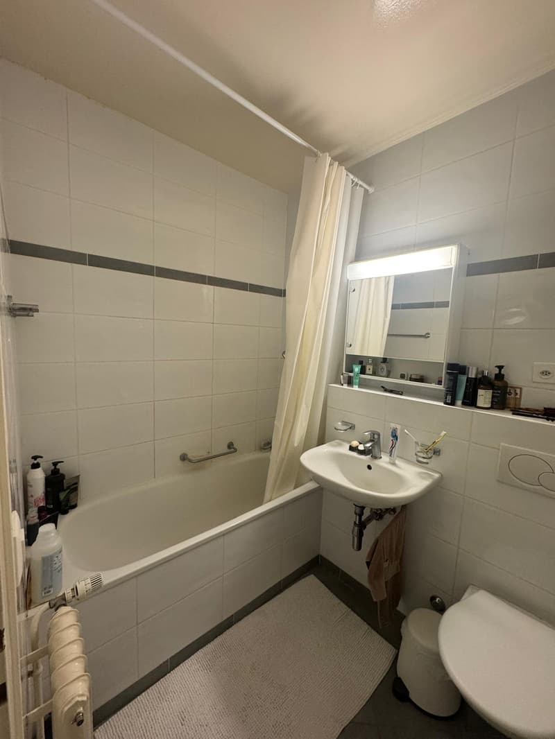 Nice apartment in Eaux Vives near the bus stop Bloch (5)