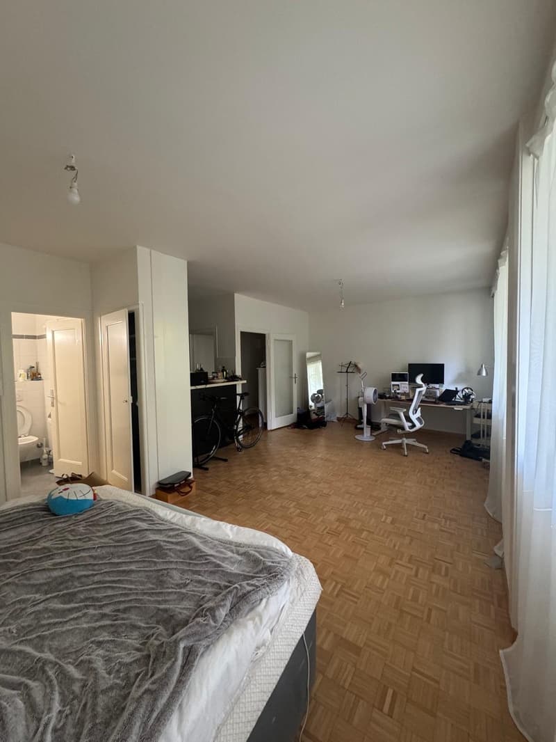 Nice apartment in Eaux Vives near the bus stop Bloch (1)