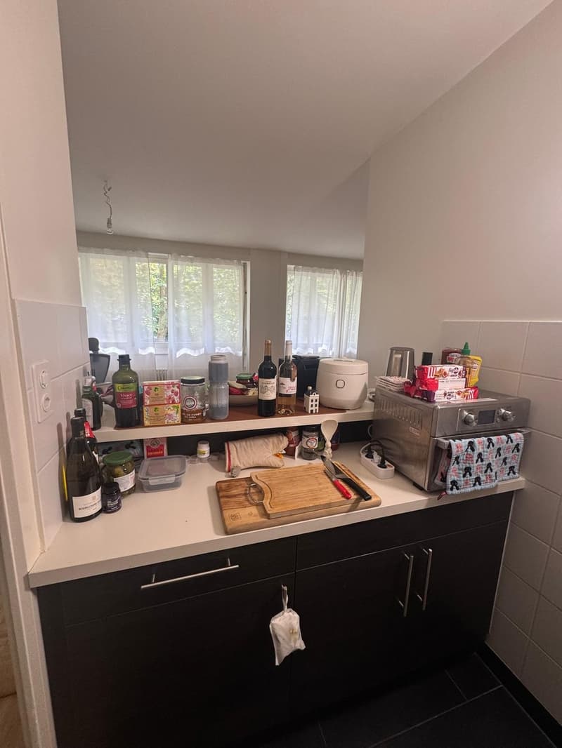 Nice apartment in Eaux Vives near the bus stop Bloch (6)