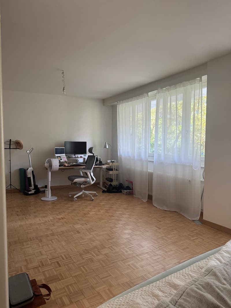 Nice apartment in Eaux Vives near the bus stop Bloch (2)