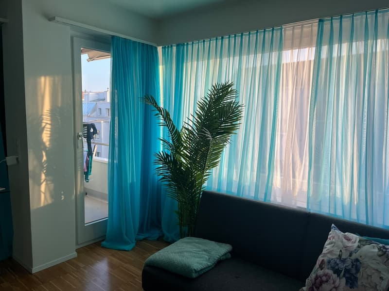 1 ½ Zimmer-Wohnung (4)