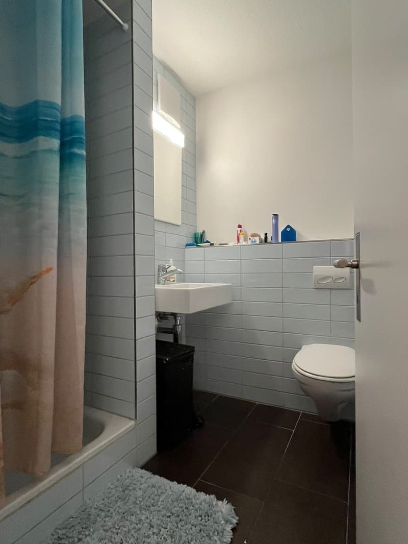 1 ½ Zimmer-Wohnung (7)