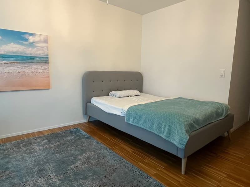 1 ½ Zimmer-Wohnung (5)