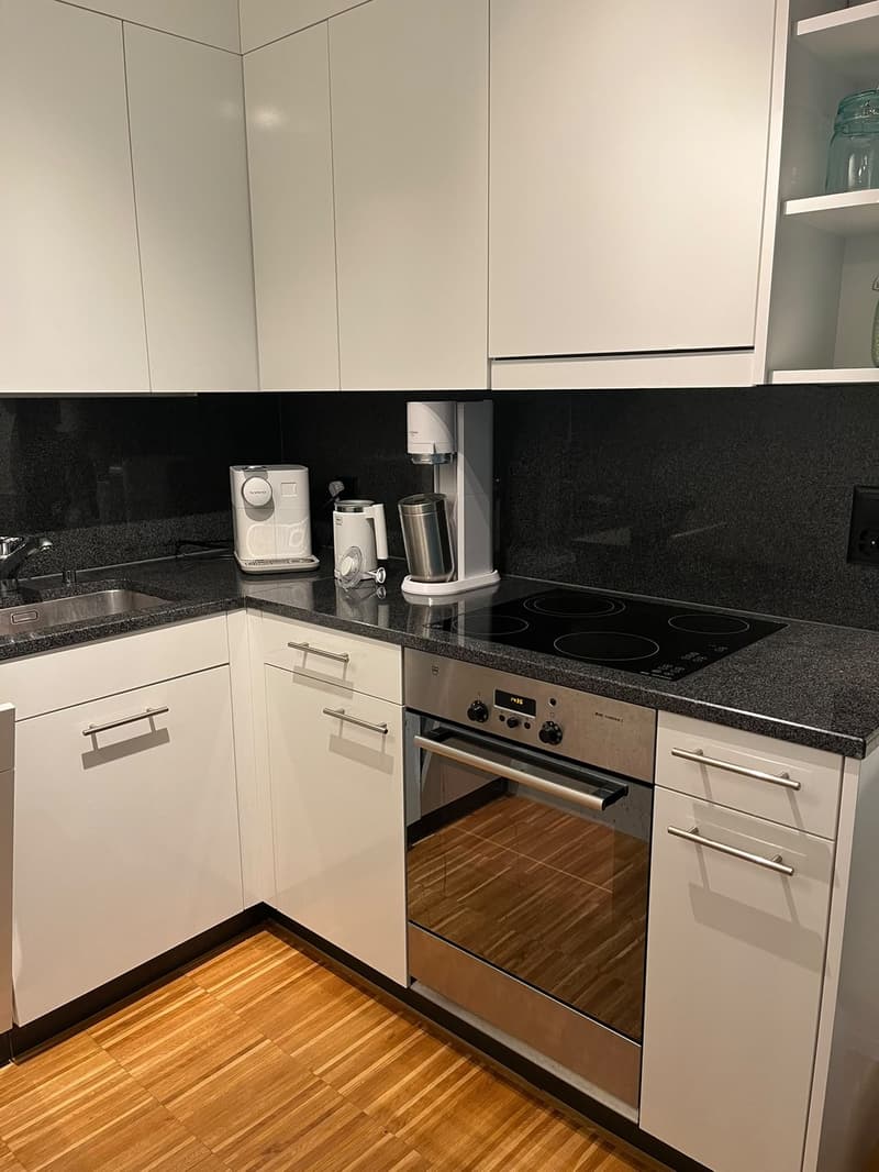 1 ½ Zimmer-Wohnung (9)