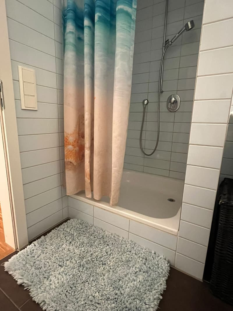 1 ½ Zimmer-Wohnung (10)