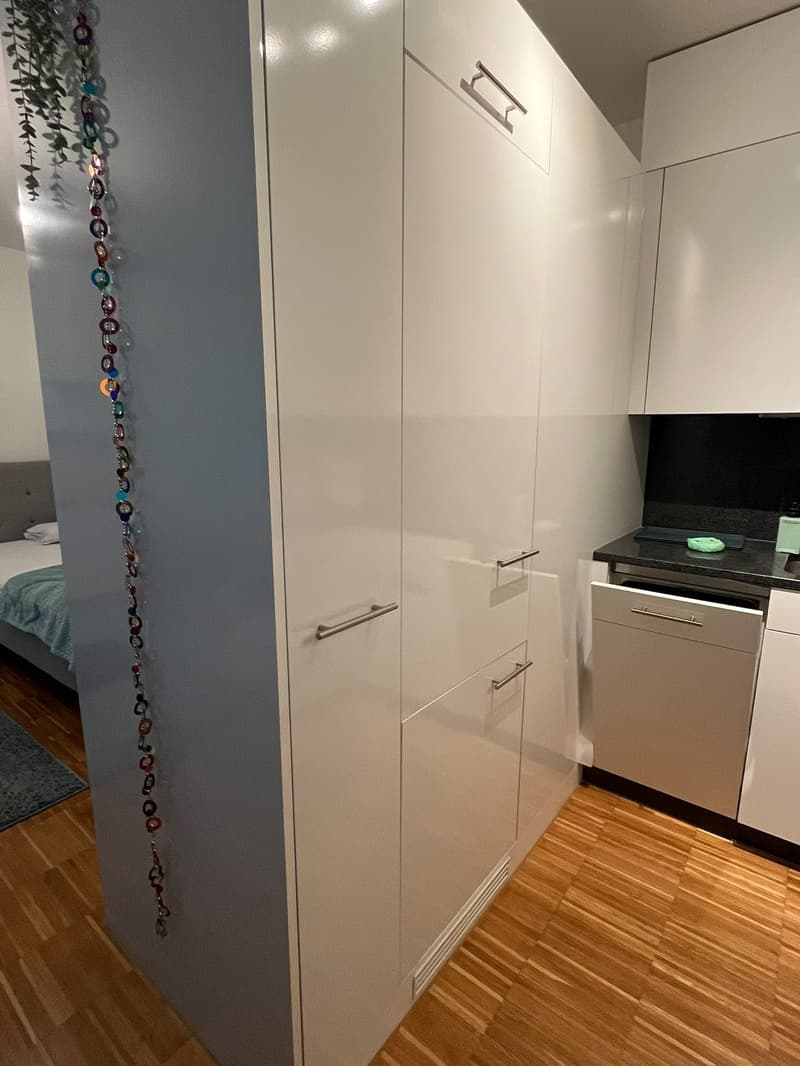 1 ½ Zimmer-Wohnung (3)