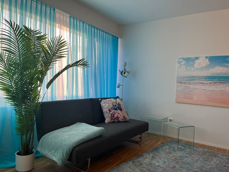 1 ½ Zimmer-Wohnung (2)