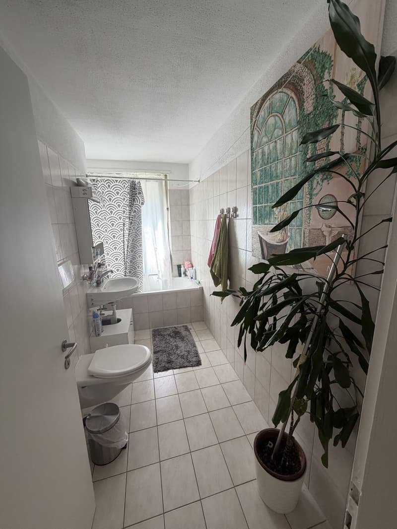 1 room apartment, 8045 Zürich (4)