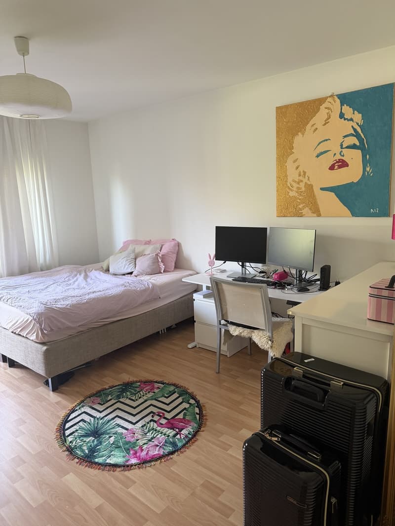 1 room apartment, 8045 Zürich (3)