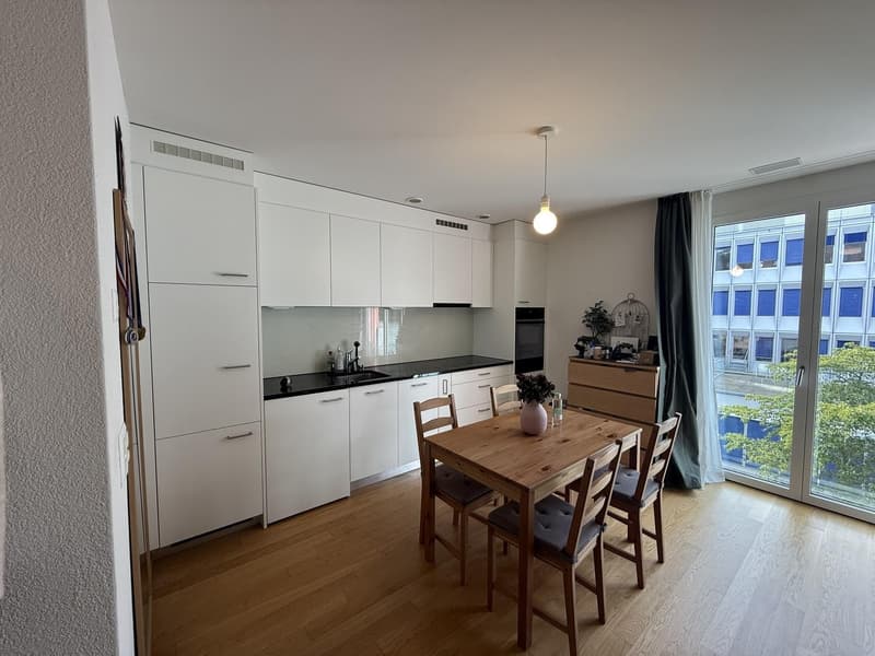 Quiet and Bright Apartment in Zurich Wipkingen Near Letten (1)