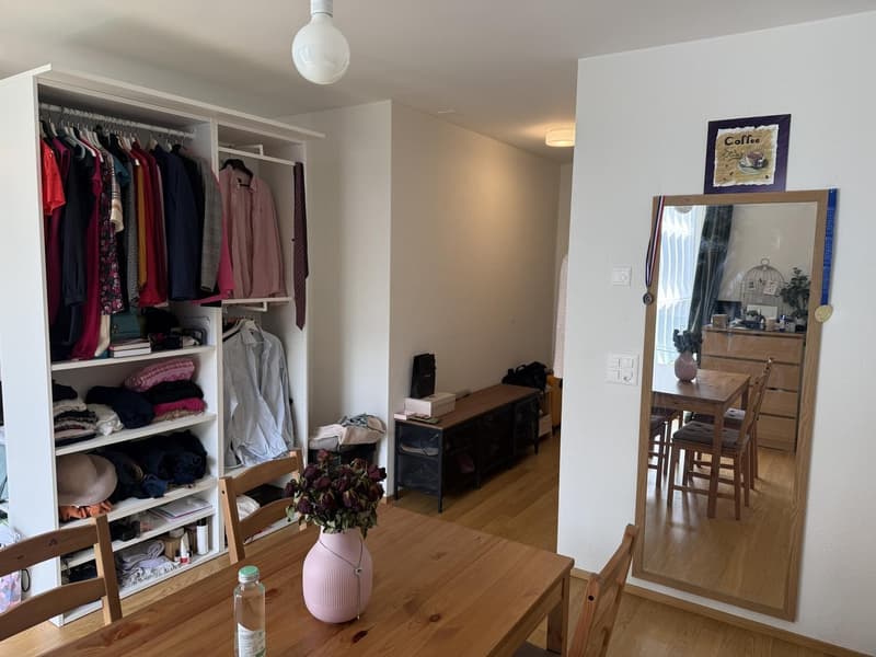Quiet and Bright Apartment in Zurich Wipkingen Near Letten (6)