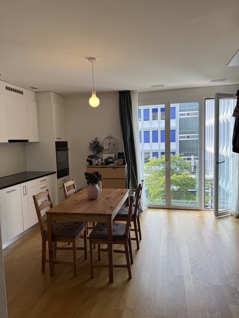 Quiet and Bright Apartment in Zurich Wipkingen Near Letten (3)