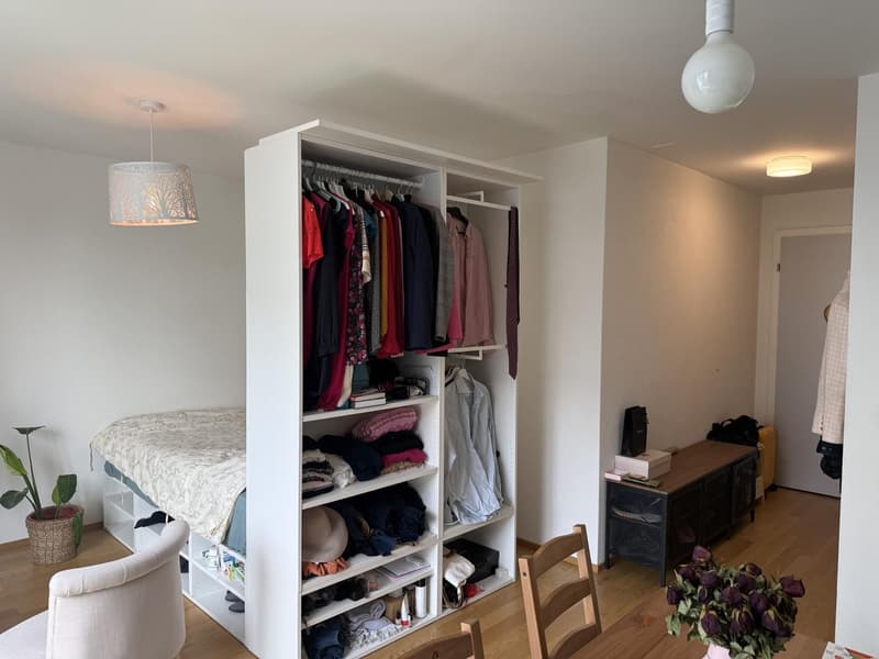 Quiet and Bright Apartment in Zurich Wipkingen Near Letten (5)