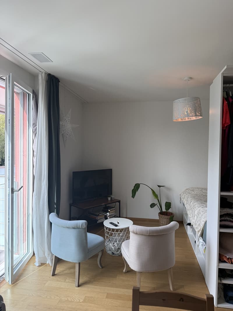 Quiet and Bright Apartment in Zurich Wipkingen Near Letten (4)