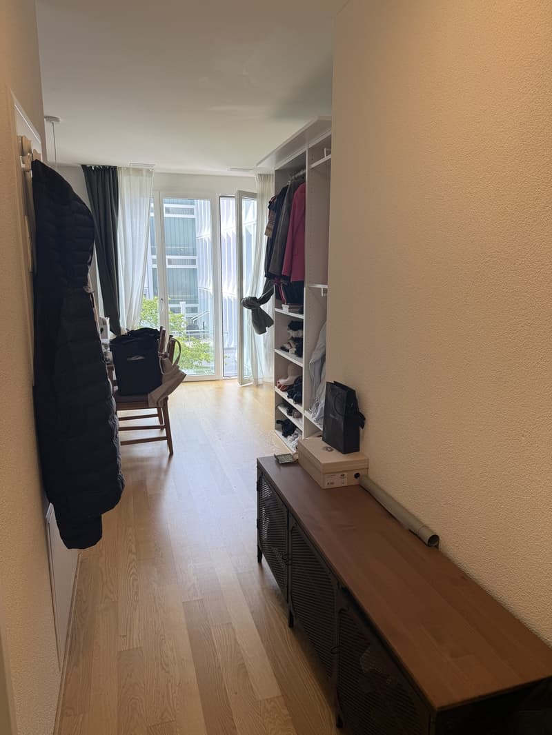Quiet and Bright Apartment in Zurich Wipkingen Near Letten (9)