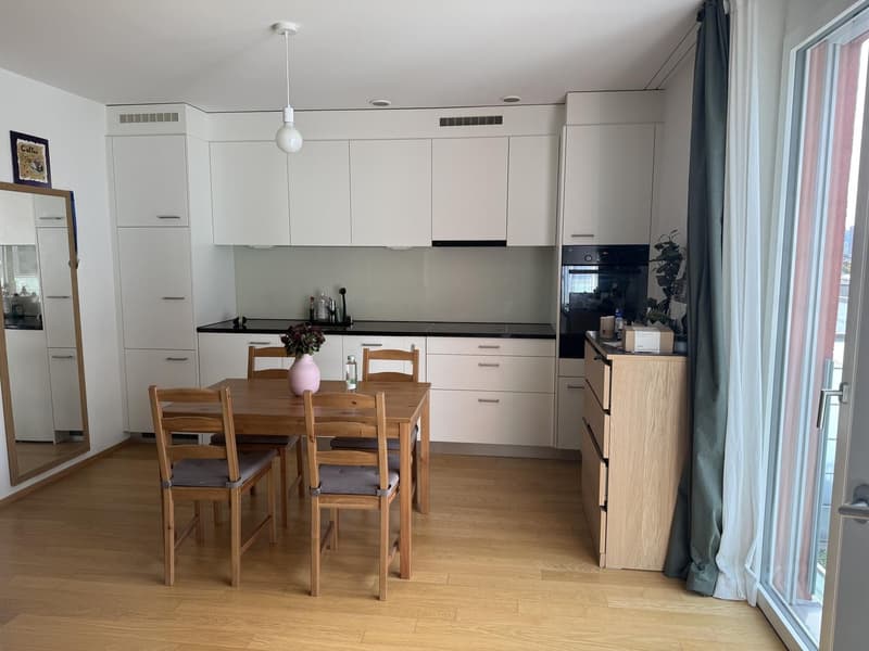 Quiet and Bright Apartment in Zurich Wipkingen Near Letten (2)