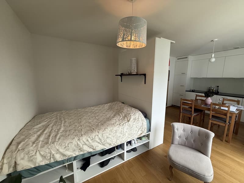 Quiet and Bright Apartment in Zurich Wipkingen Near Letten (8)