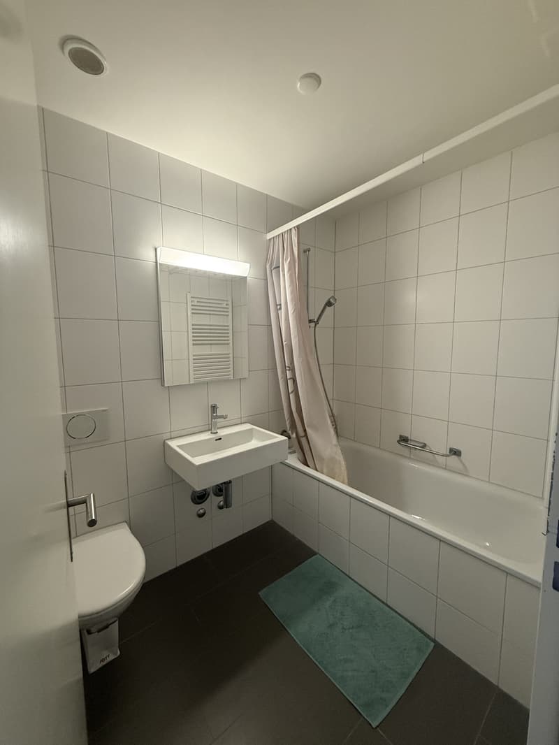 Quiet and Bright Apartment in Zurich Wipkingen Near Letten (7)