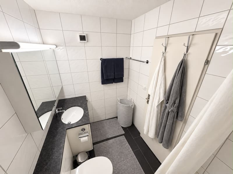 Helle, ruhige 3\.5\-Zimmer\-Wohnung möbliert, ideal für 2er\-WG ab sofort verfügbar (8)