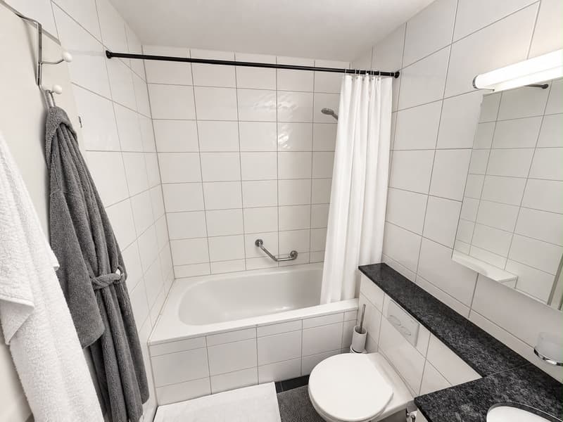 Helle, ruhige 3\.5\-Zimmer\-Wohnung möbliert, ideal für 2er\-WG ab sofort verfügbar (10)