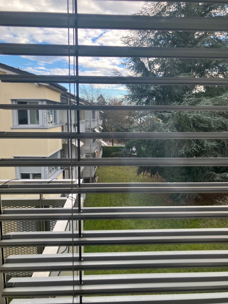 Zentral, aber ruhig gelegene Seefeld-Wohnung, nur 3 Minuten vom Zürichsee entfernt (12)