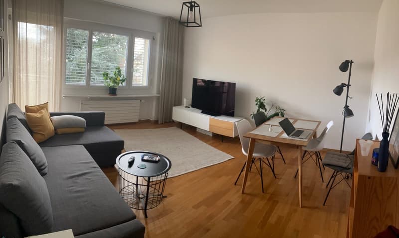 Zentral, aber ruhig gelegene Seefeld-Wohnung, nur 3 Minuten vom Zürichsee entfernt (1)