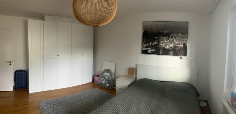 Zentral, aber ruhig gelegene Seefeld-Wohnung, nur 3 Minuten vom Zürichsee entfernt (8)