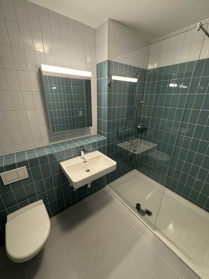 Room for rent nearby Kappeli, Altstetten (3)