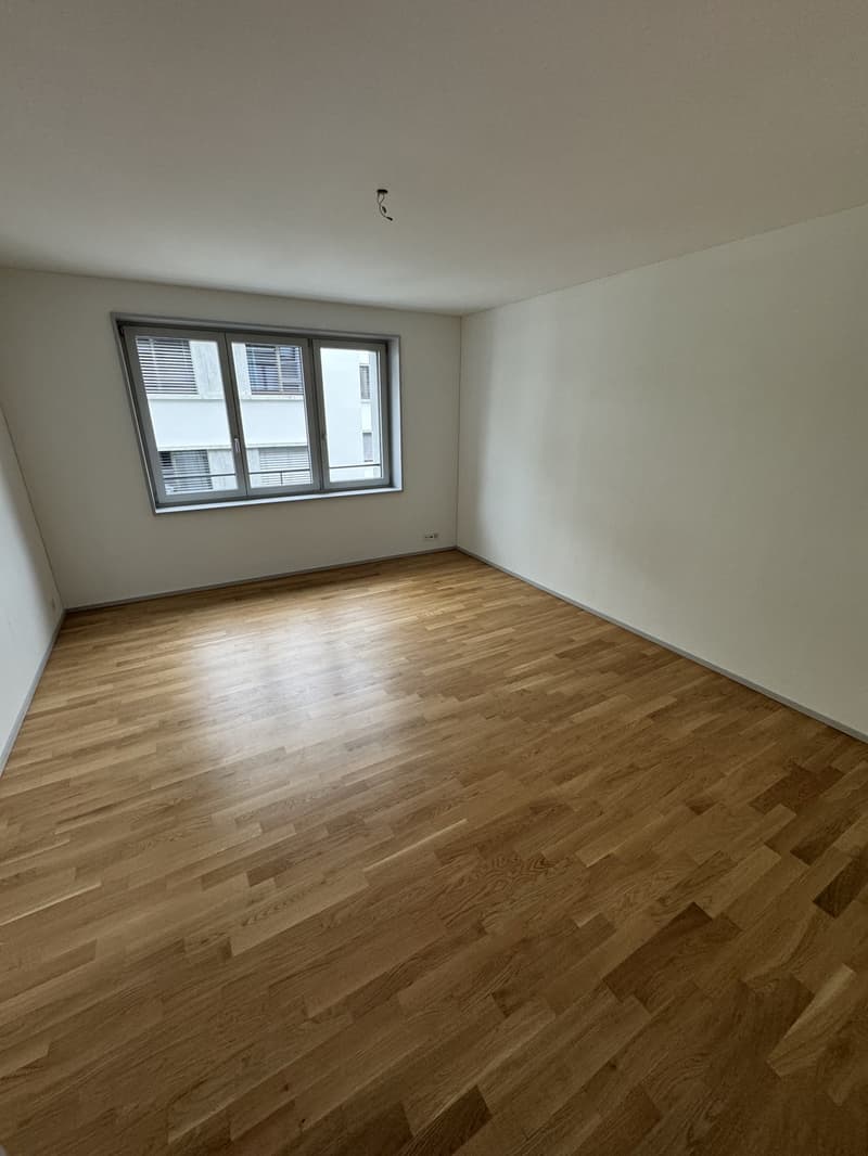 Room for rent nearby Kappeli, Altstetten (4)