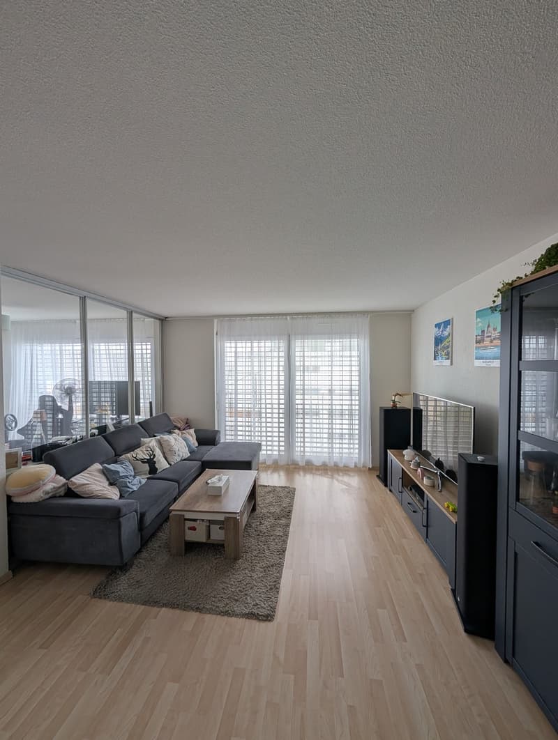 2 ½ Zimmer-Wohnung, 8052 Zürich (8)