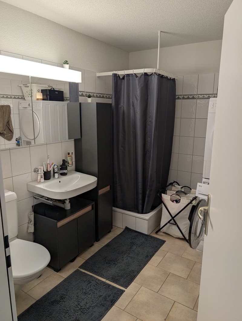 2 ½ Zimmer-Wohnung, 8052 Zürich (7)