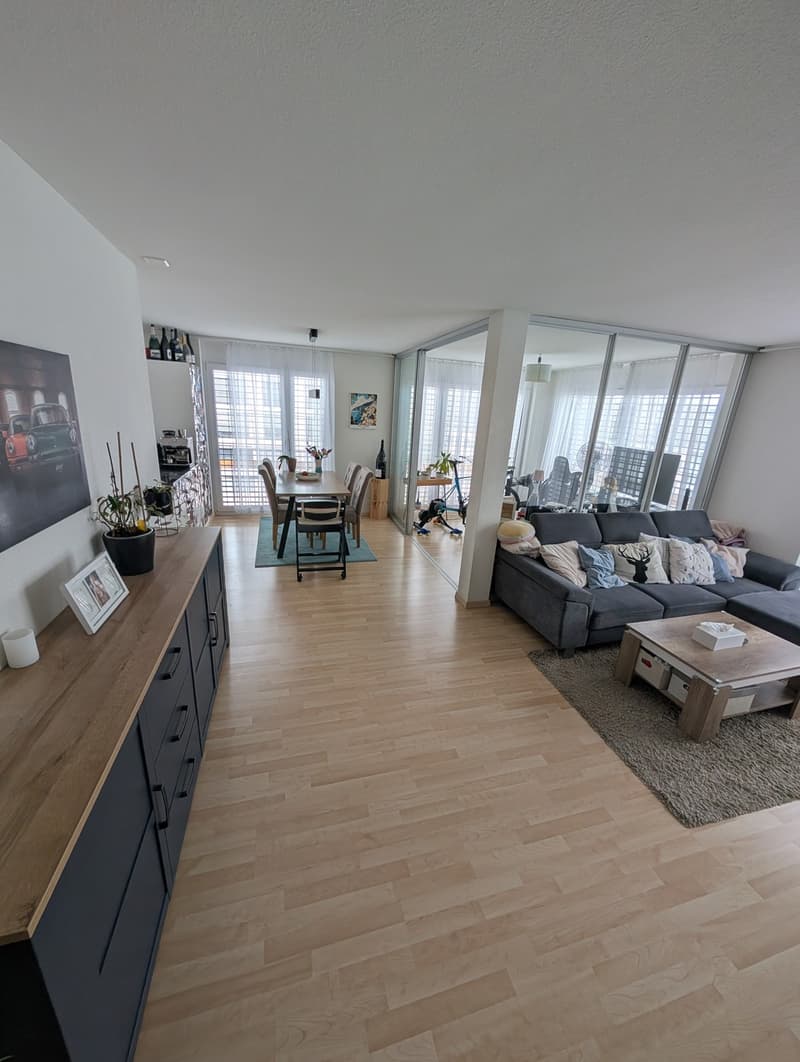 2 ½ Zimmer-Wohnung, 8052 Zürich (6)