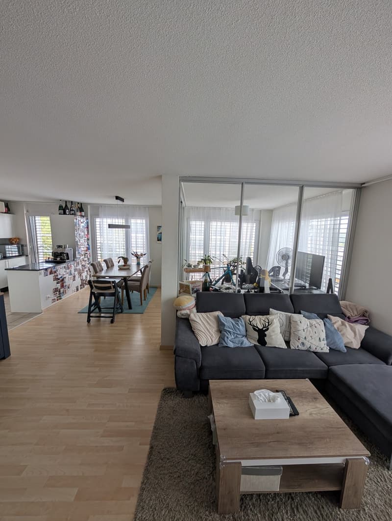 2 ½ Zimmer-Wohnung, 8052 Zürich (11)