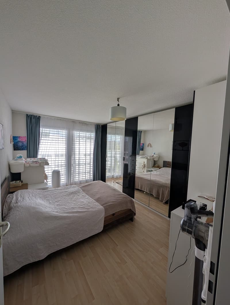 2 ½ Zimmer-Wohnung, 8052 Zürich (9)
