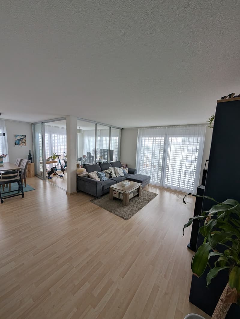 2 ½ Zimmer-Wohnung, 8052 Zürich (5)
