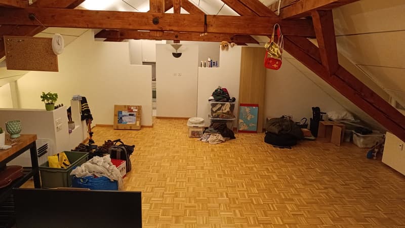 Studio Wohnung Im Gundeli Quartier (3)