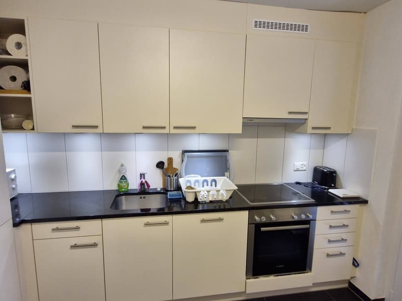 Sunny 1.5 room Apartment in schmiede wiedikon (10)