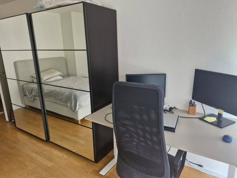 Sunny 1.5 room Apartment in schmiede wiedikon (3)