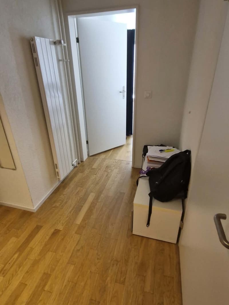 Sunny 1.5 room Apartment in schmiede wiedikon (7)