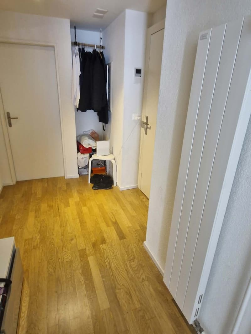 Sunny 1.5 room Apartment in schmiede wiedikon (6)