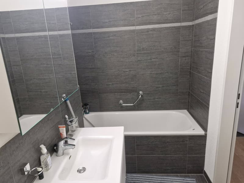 Sunny 1.5 room Apartment in schmiede wiedikon (11)