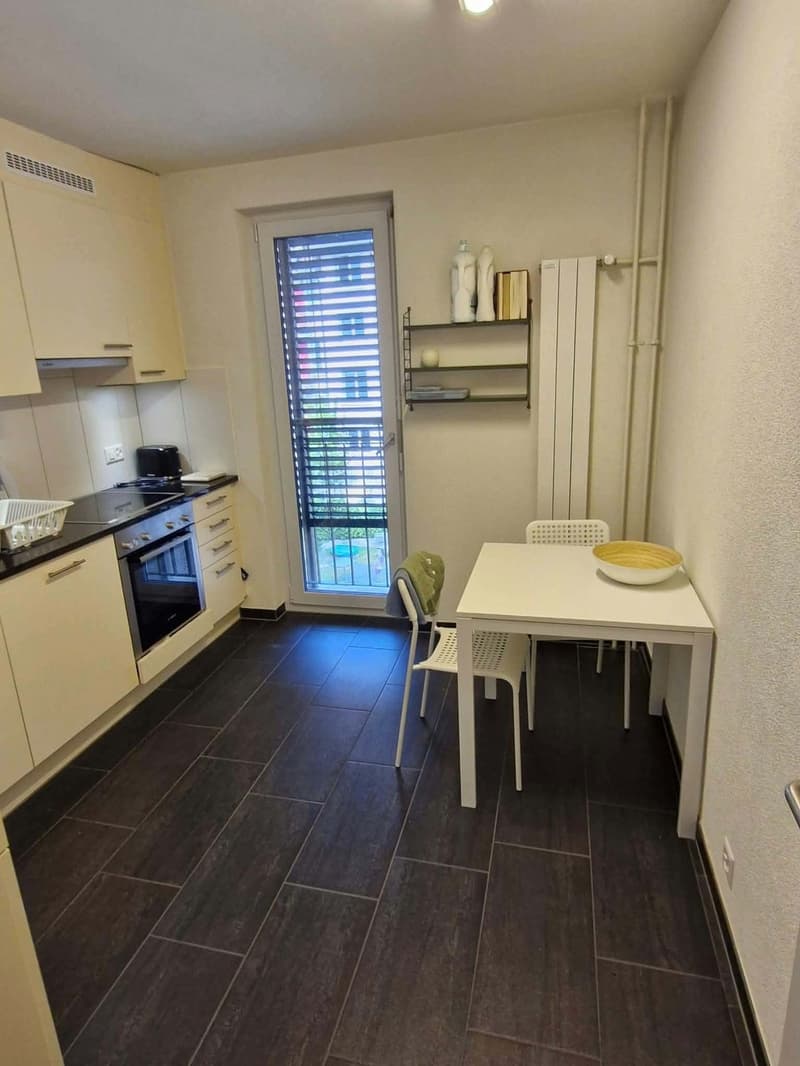 Sunny 1.5 room Apartment in schmiede wiedikon (8)