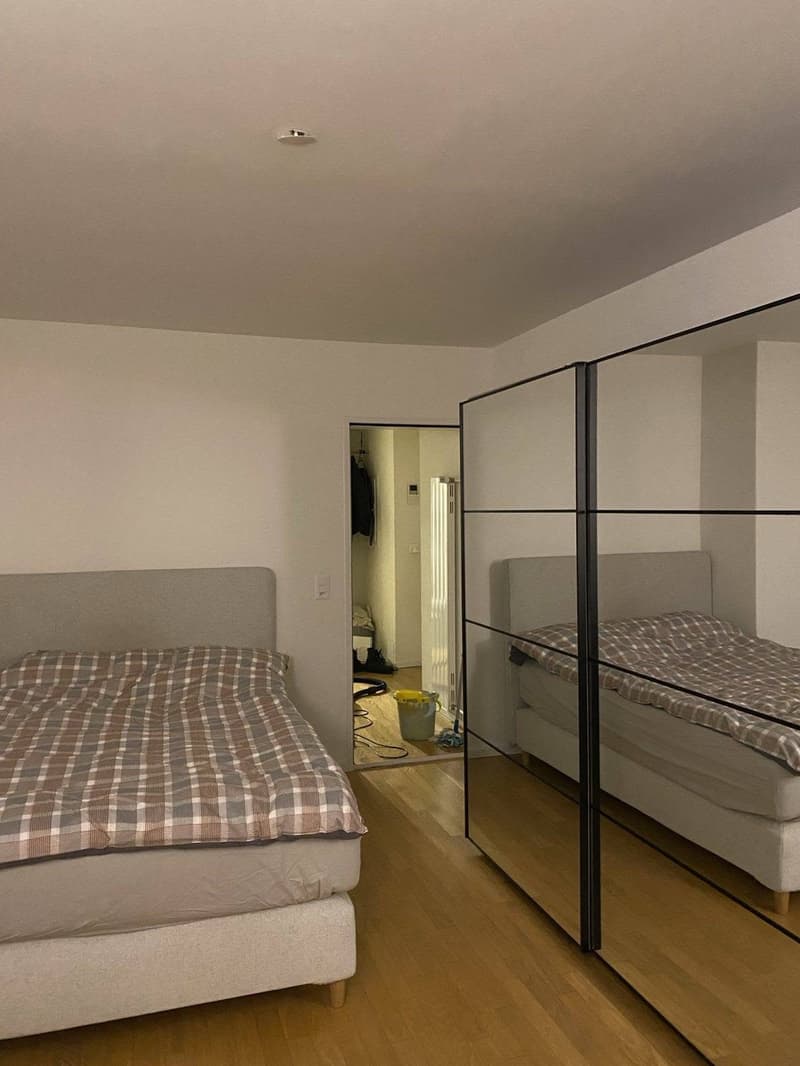 Sunny 1.5 room Apartment in schmiede wiedikon (1)
