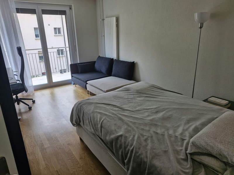 Sunny 1.5 room Apartment in schmiede wiedikon (4)