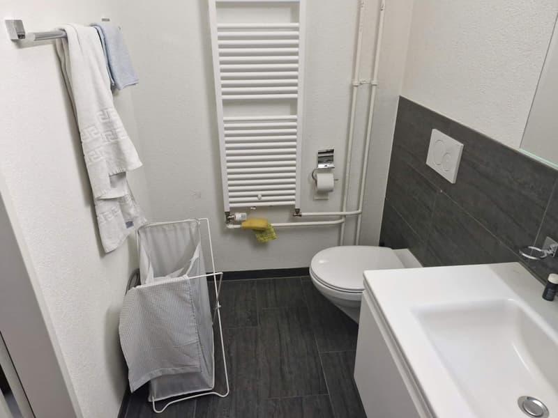 Sunny 1.5 room Apartment in schmiede wiedikon (12)