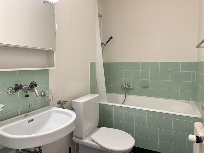 Room in a shared flat in 8051 Zurich (Student / Female Preferred) (3)