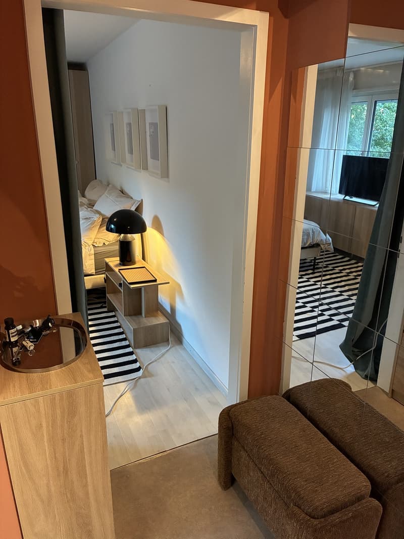 Neu möbliertes Studio - zentral in Kreis 6 (4)