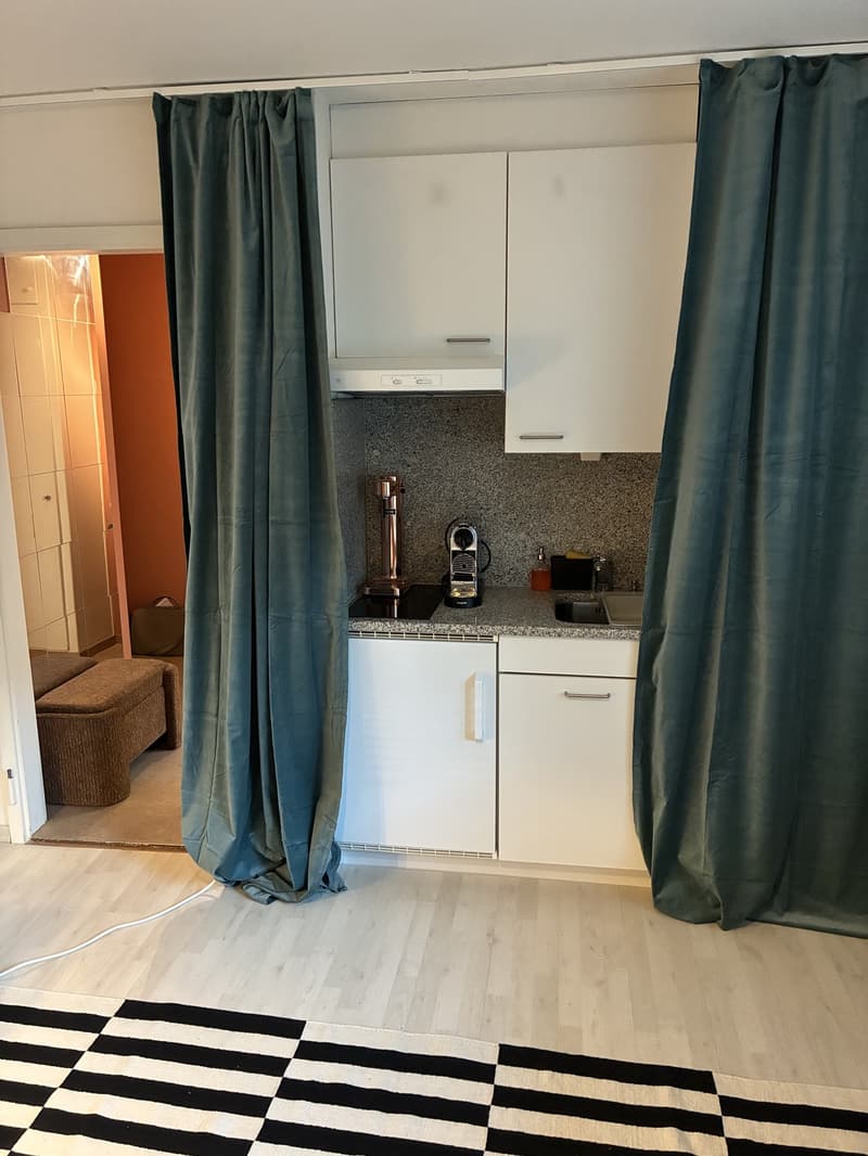 Neu möbliertes Studio - zentral in Kreis 6 (6)
