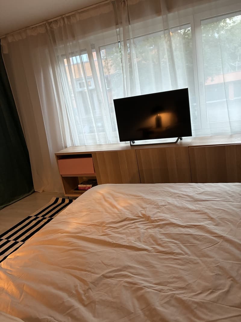 Neu möbliertes Studio - zentral in Kreis 6 (3)