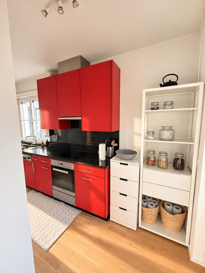 Maisonette-Wohnung am Hottingerplatz (3)
